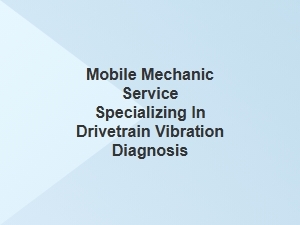 Expert Diagnosis of Drivetrain Vibrations by Mobile Mechanics
