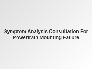 Diagnosing Powertrain Mounting Issues with Expert Consultation
